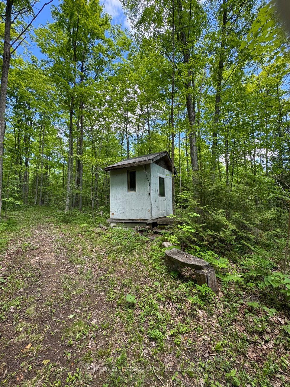 580223 SIDEROAD 60 • Chatsworth, ON photo 17
