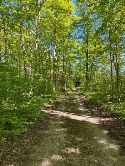 580223 SIDEROAD 60 • Chatsworth, ON photo 3