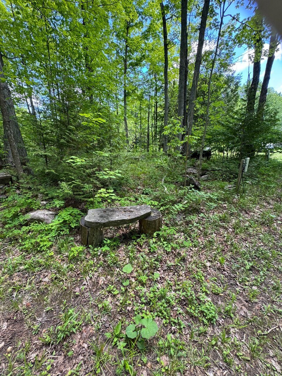 580223 SIDEROAD 60 • Chatsworth, ON photo 4