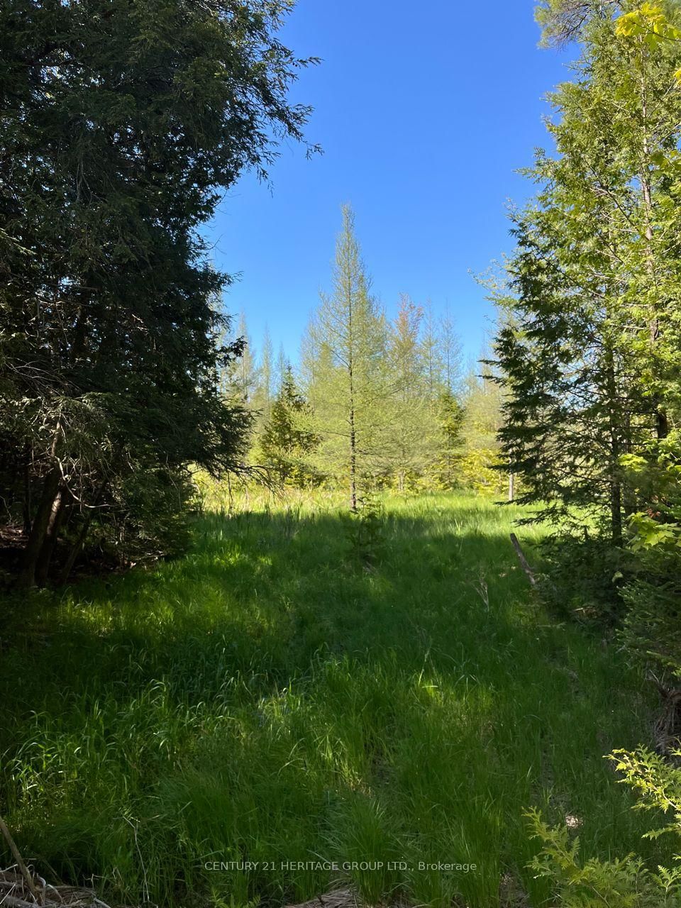 580223 SIDEROAD 60 • Chatsworth, ON photo 6