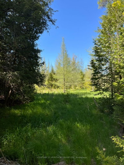 580223 SIDEROAD 60 • Chatsworth, ON photo 6
