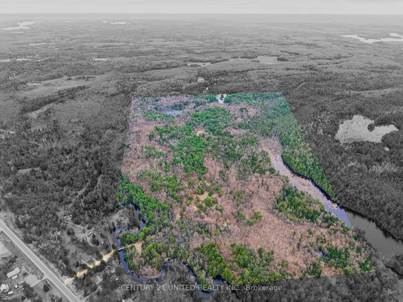 9559 Hwy 28 • North Kawartha, ON photo 1