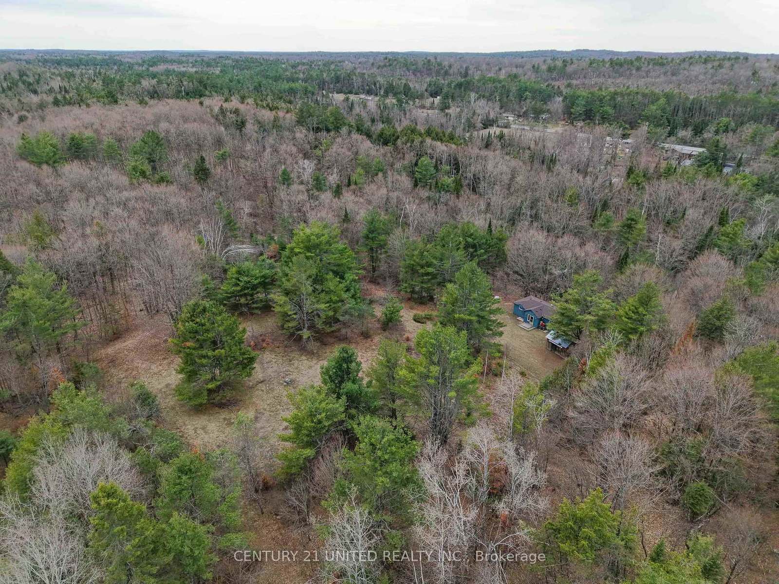9559 Hwy 28 • North Kawartha, ON photo 10