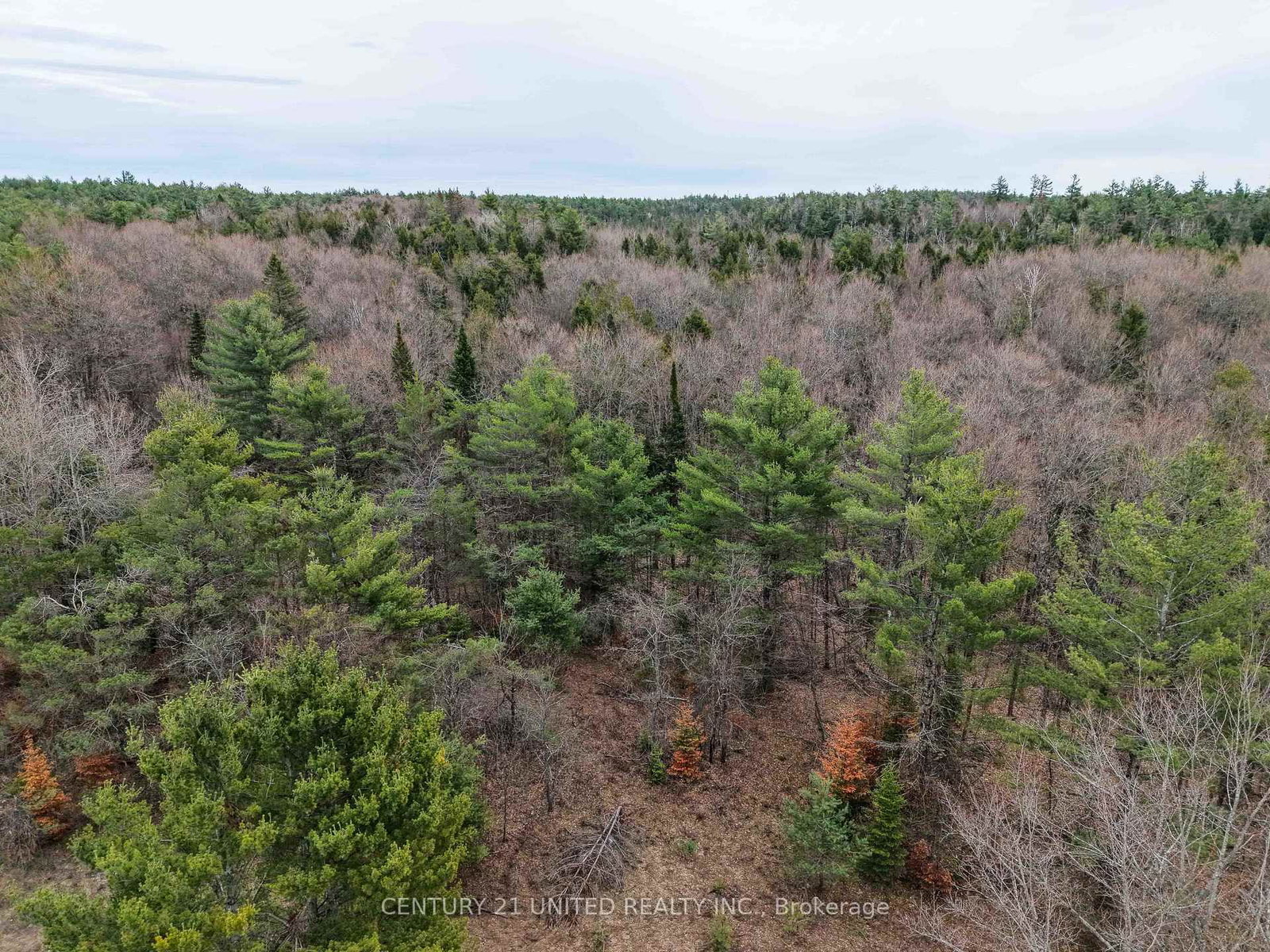 9559 Hwy 28 • North Kawartha, ON photo 11