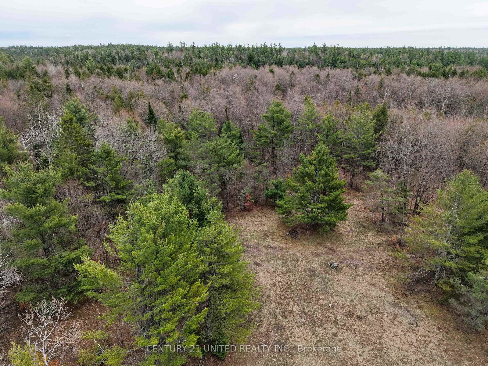9559 Hwy 28 • North Kawartha, ON photo 12