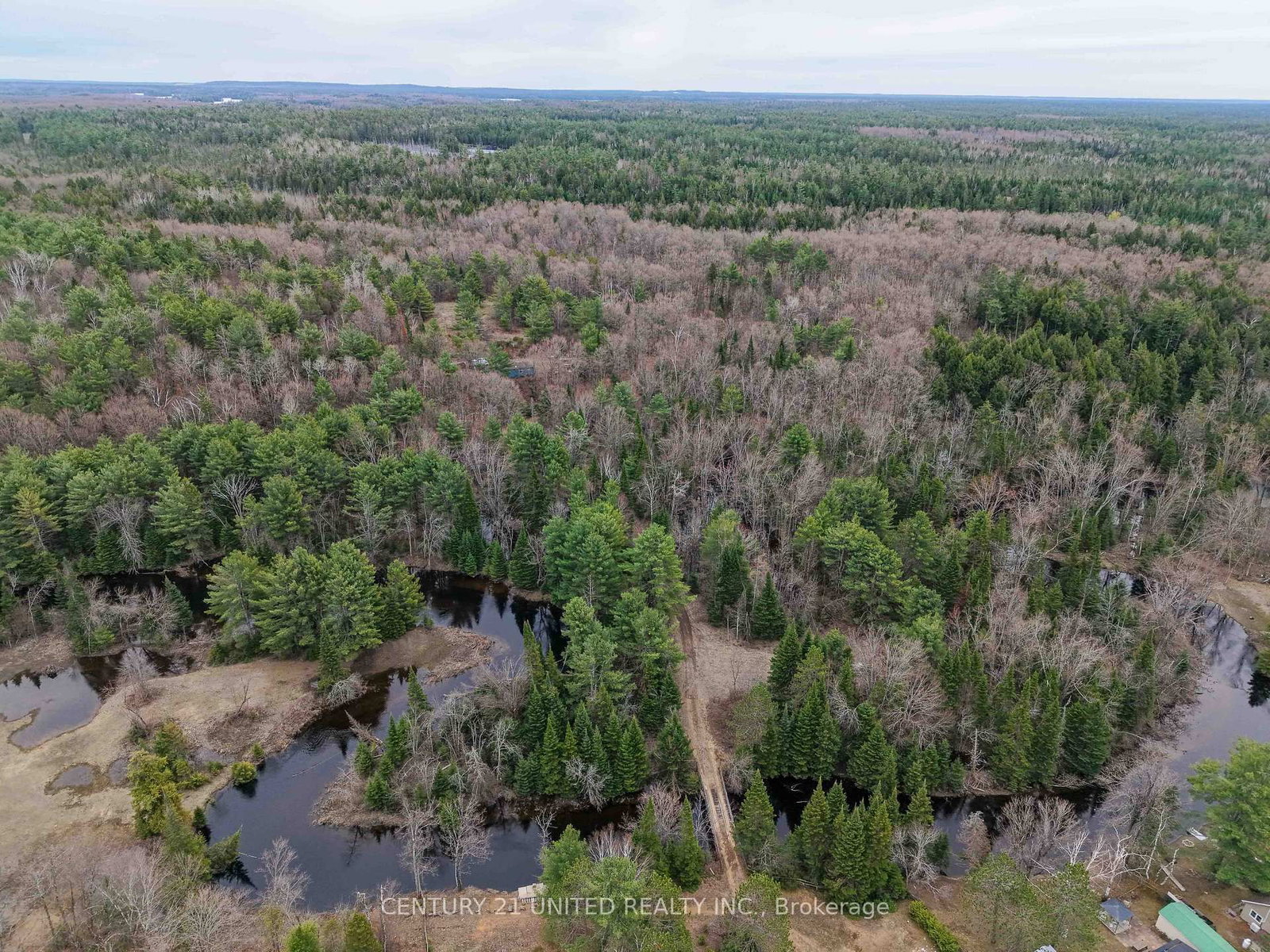 9559 Hwy 28 • North Kawartha, ON photo 15