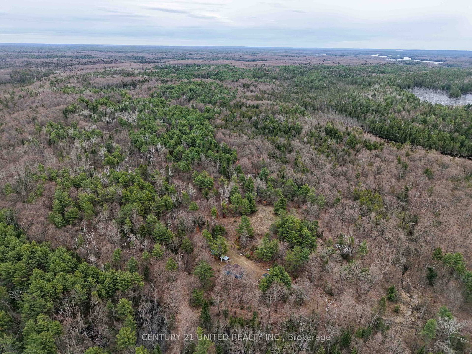 9559 Hwy 28 • North Kawartha, ON photo 17