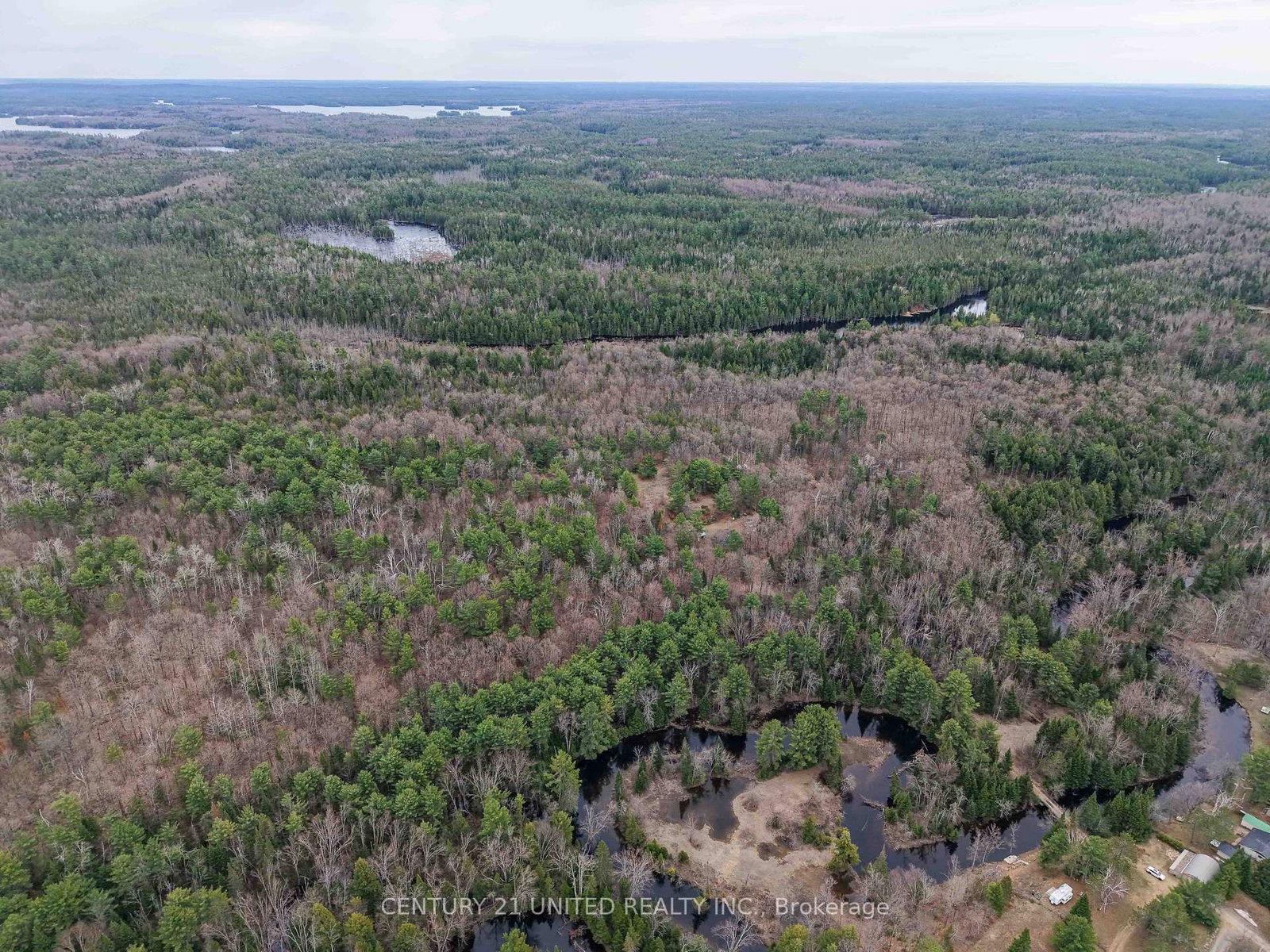 9559 Hwy 28 • North Kawartha, ON photo 18