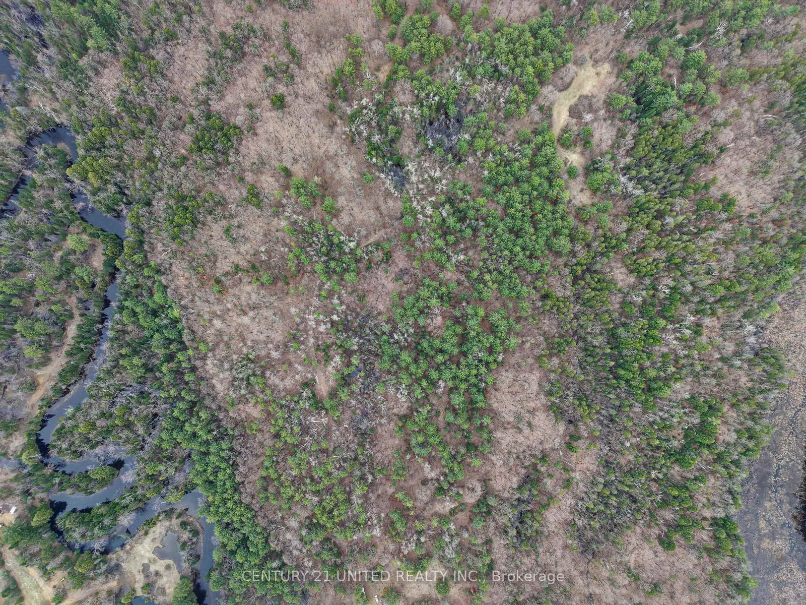 9559 Hwy 28 • North Kawartha, ON photo 24