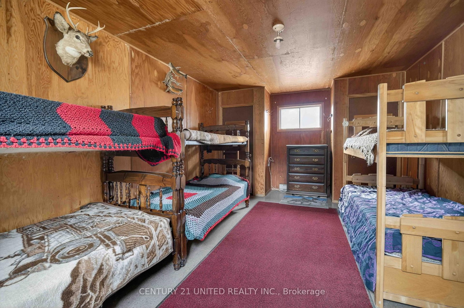9559 Hwy 28 • North Kawartha, ON photo 29