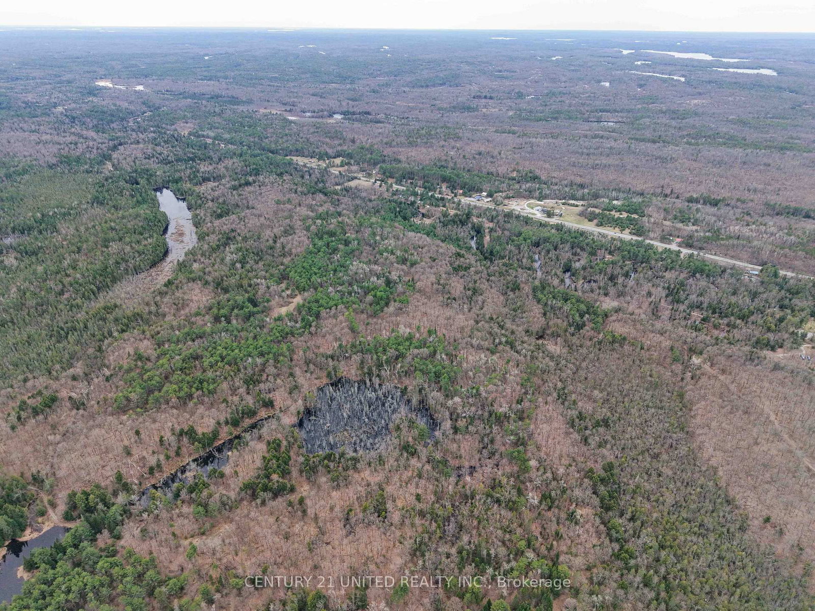 9559 Hwy 28 • North Kawartha, ON photo 4