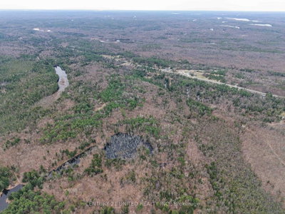 9559 Hwy 28 • North Kawartha, ON photo 4