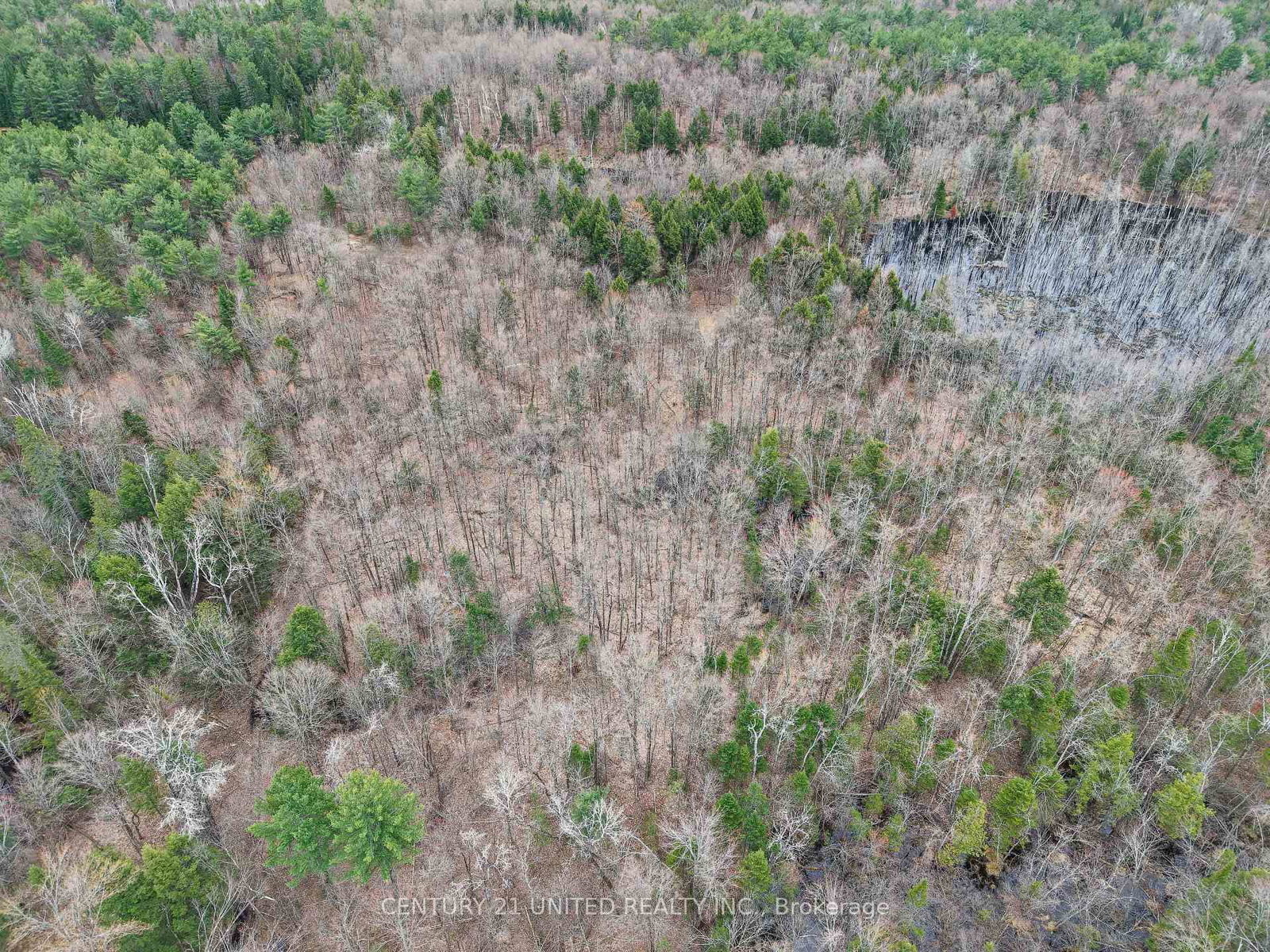 9559 Hwy 28 • North Kawartha, ON photo 5