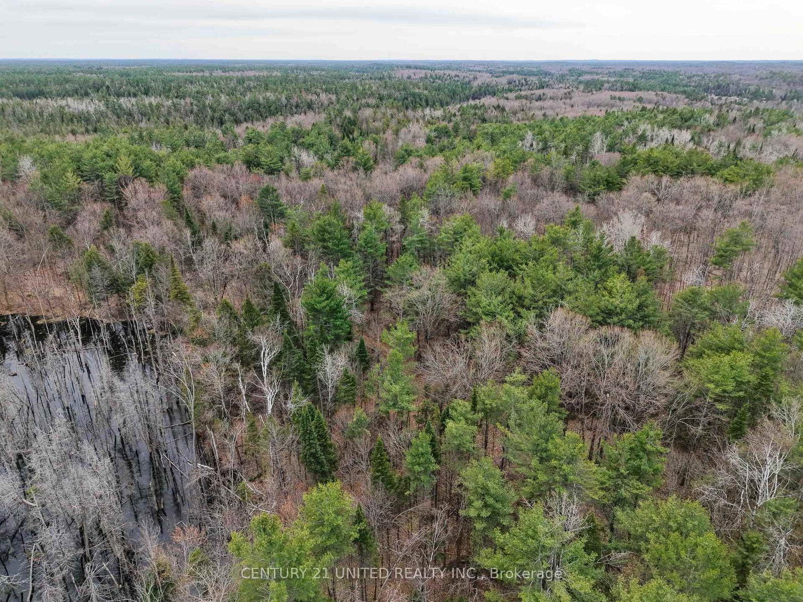 9559 Hwy 28 • North Kawartha, ON photo 6