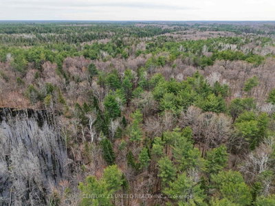 9559 Hwy 28 • North Kawartha, ON photo 6