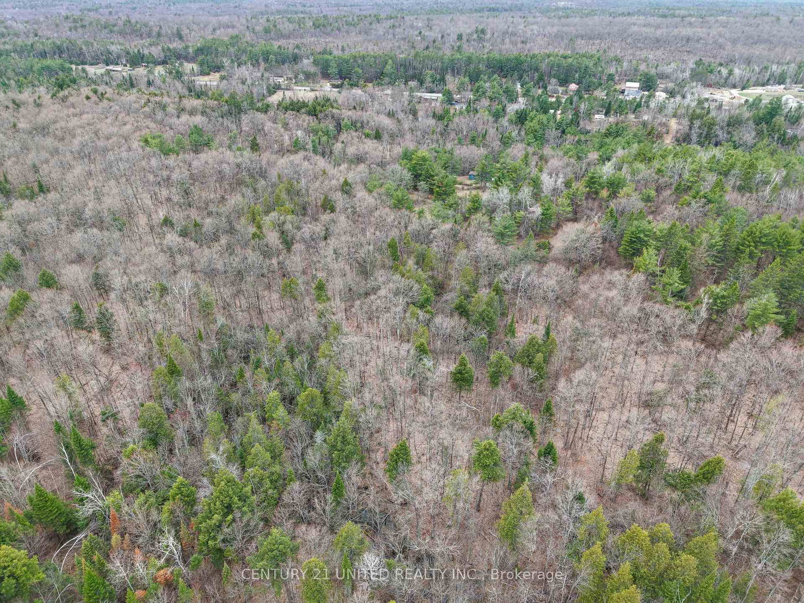 9559 Hwy 28 • North Kawartha, ON photo 8