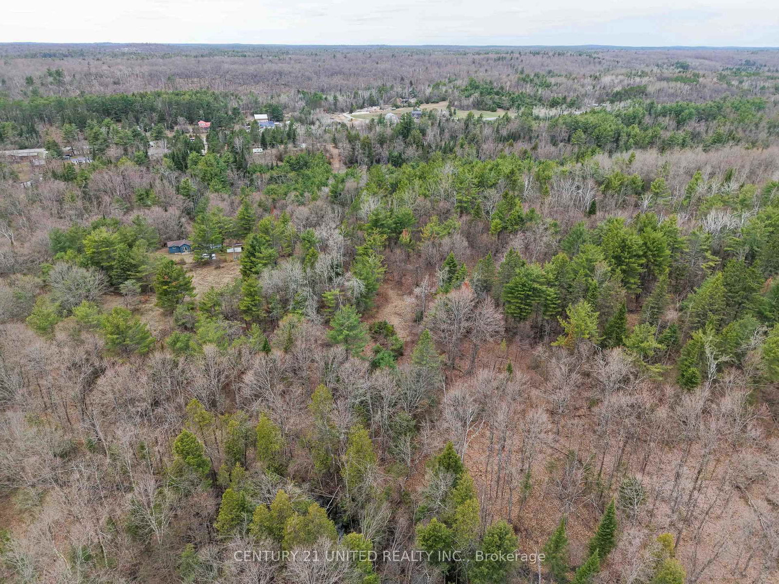 9559 Hwy 28 • North Kawartha, ON photo 9