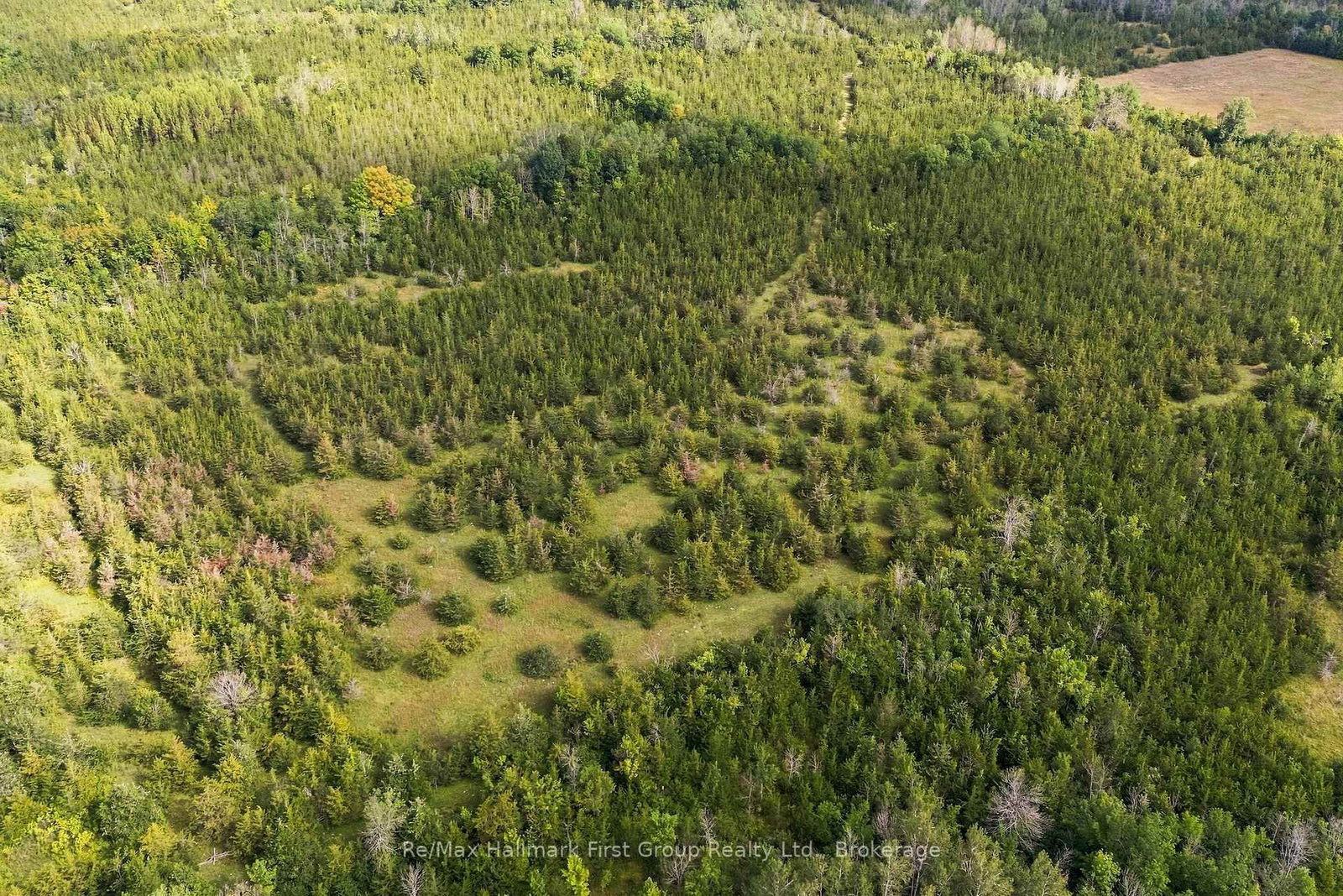 PTLT 36 Enright Road • Shannonville, ON photo 11