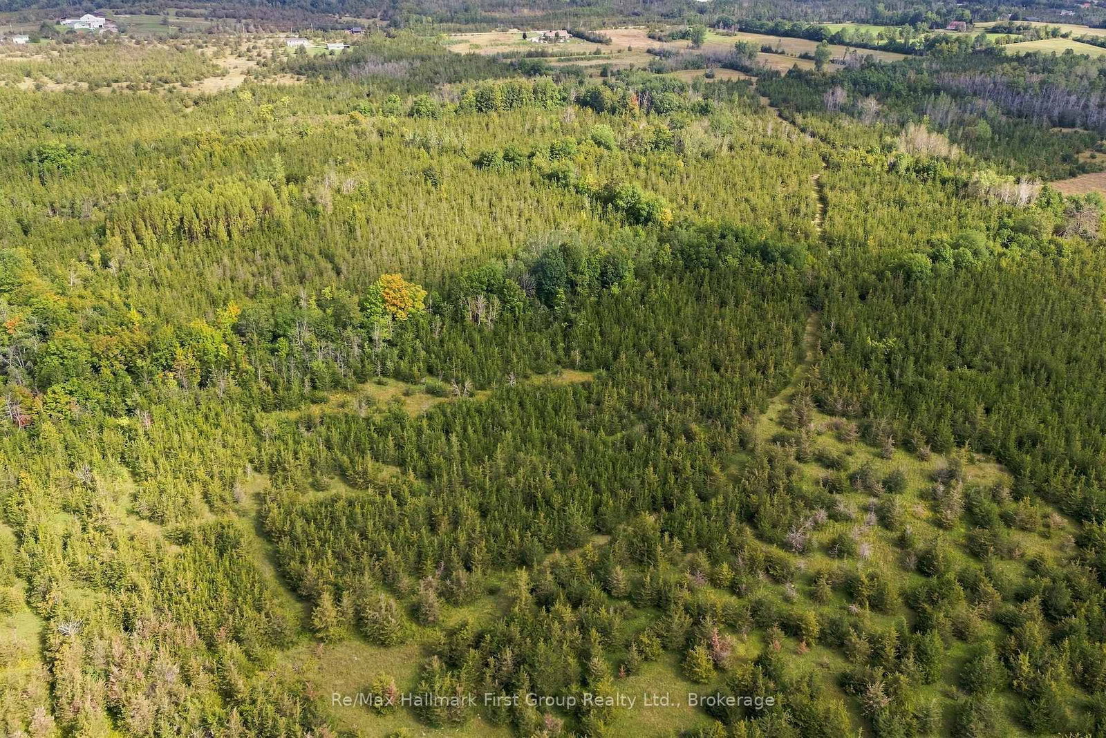 PTLT 36 Enright Road • Shannonville, ON photo 12