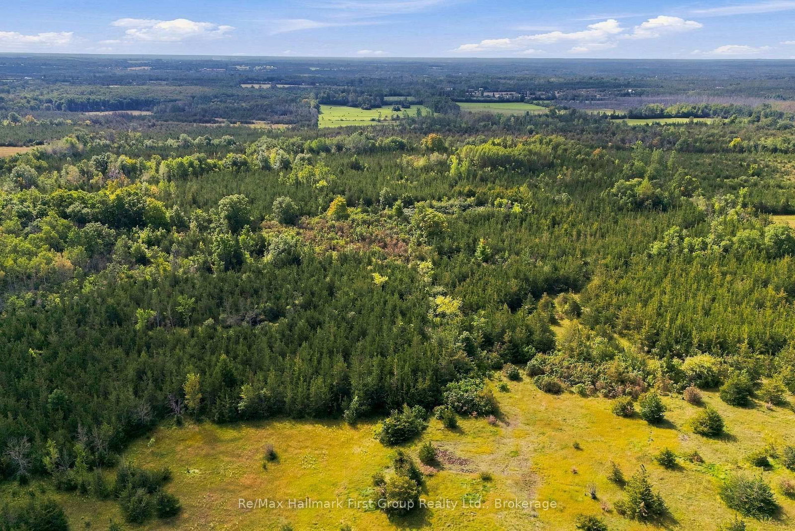 PTLT 36 Enright Road • Shannonville, ON photo 16