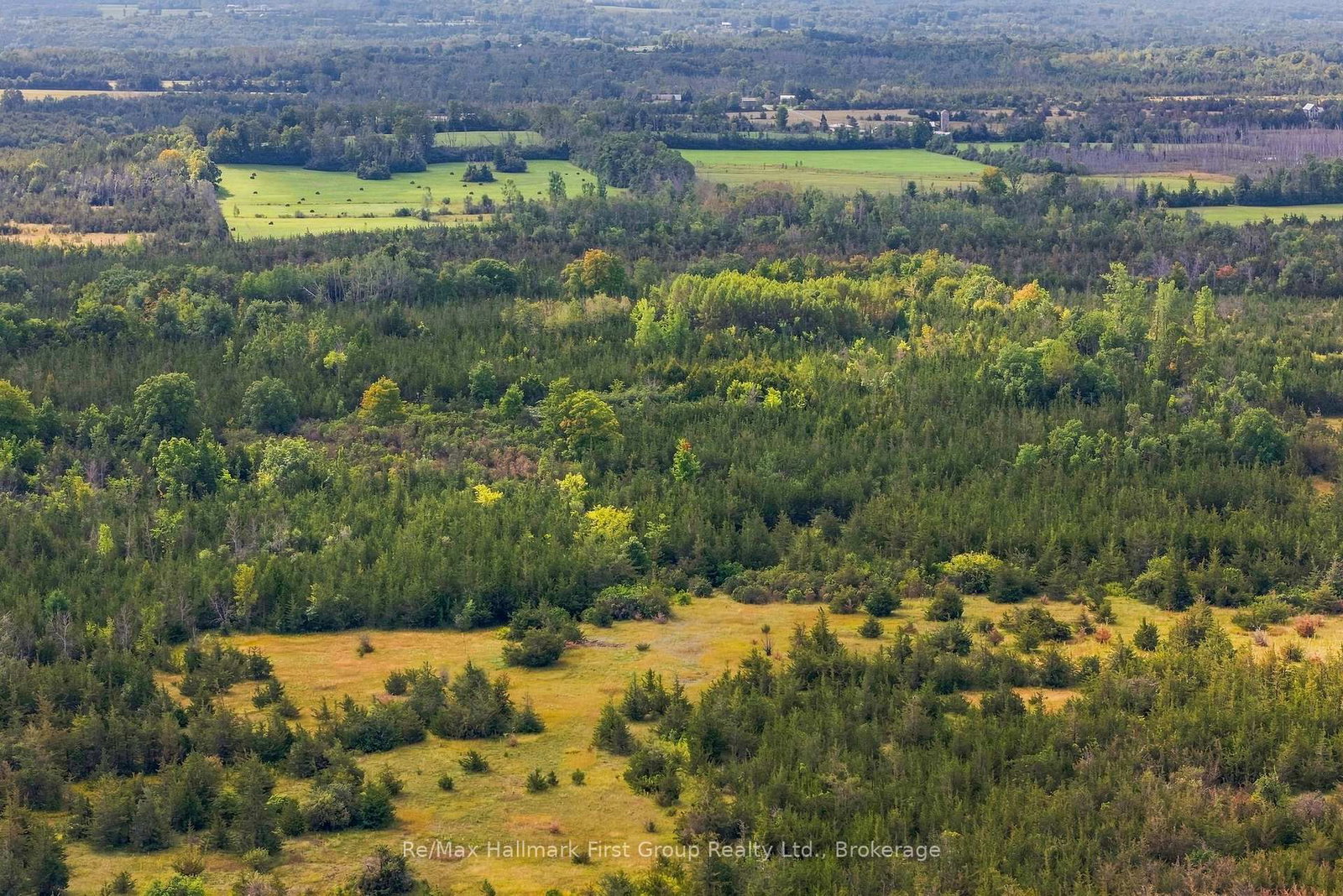 PTLT 36 Enright Road • Shannonville, ON photo 5