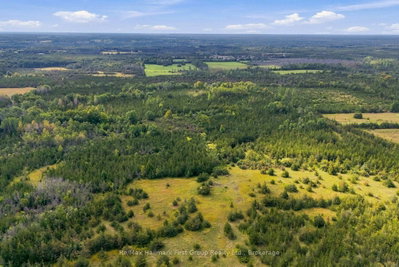 PTLT 36 Enright Road • Shannonville, ON photo 6