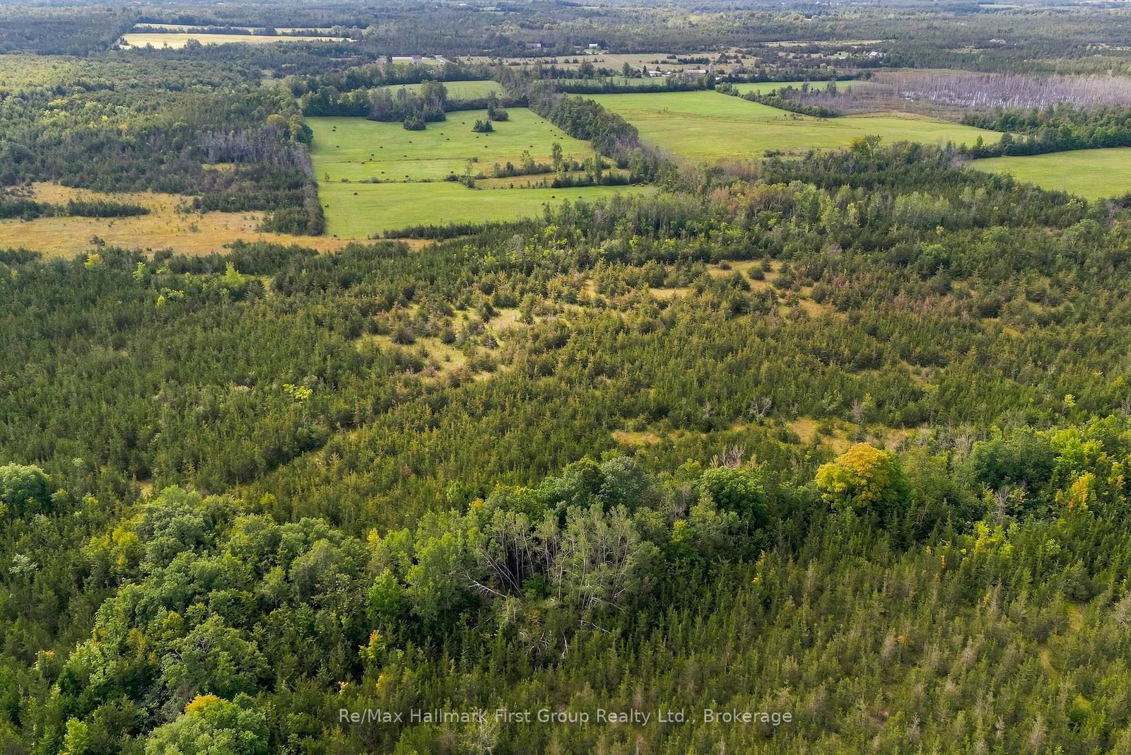 PTLT 36 Enright Road • Shannonville, ON photo 8