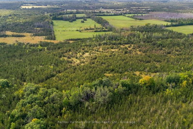 PTLT 36 Enright Road • Shannonville, ON photo 8