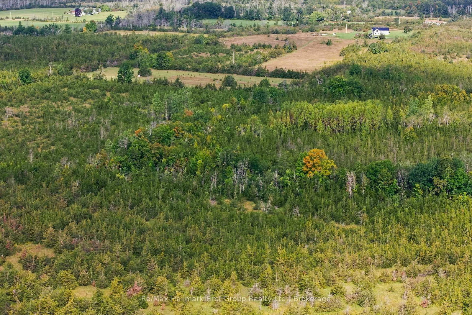 PTLT 36 Enright Road • Shannonville, ON photo 9