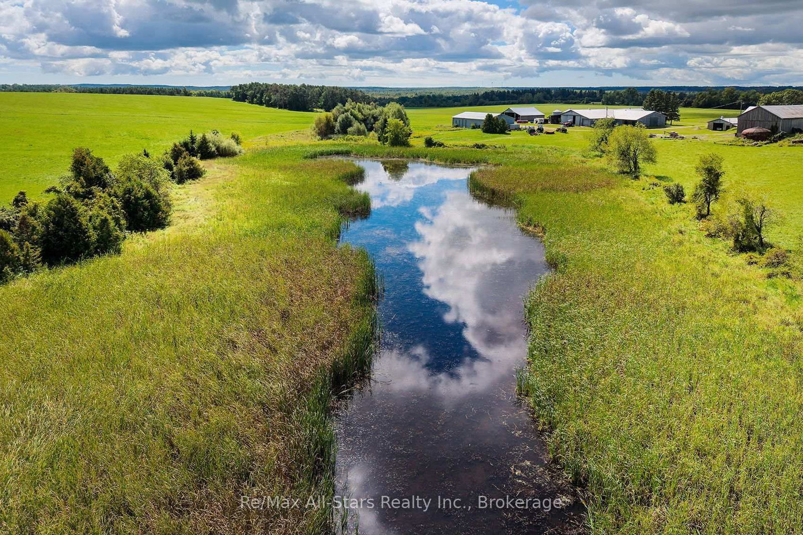 420 Solanum Way • Kawartha Lakes, ON photo 37