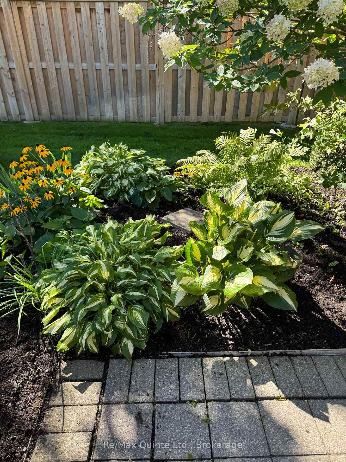 11 JANLYN Crescent • #8 • Belleville, ON photo 4