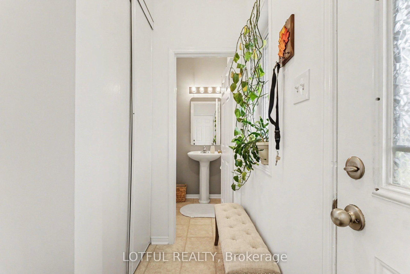 3 Collington Street • Ottawa, ON photo 2