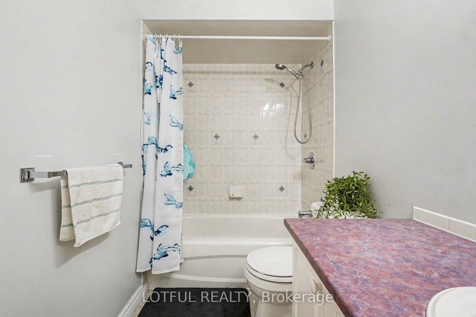 3 Collington Street • Ottawa, ON photo 20
