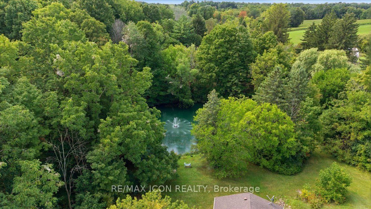 1503 Lockie Road • Brant, ON photo 44