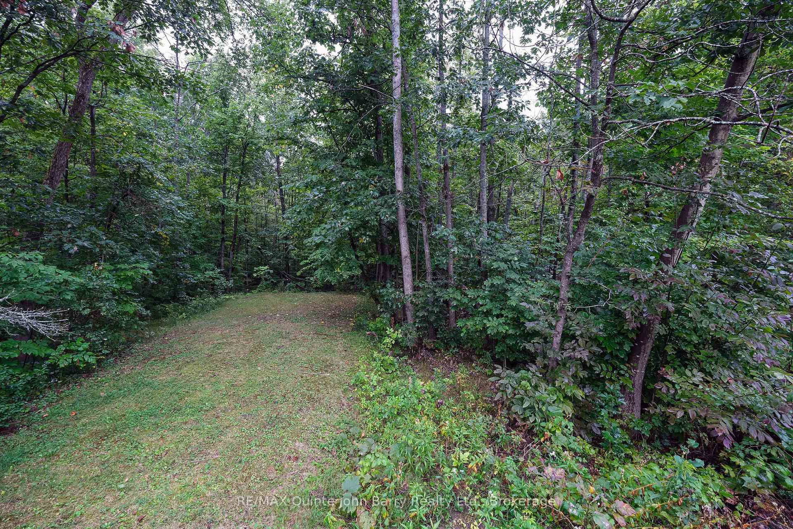 81 Rockhaven Road • Limoges, ON photo 32