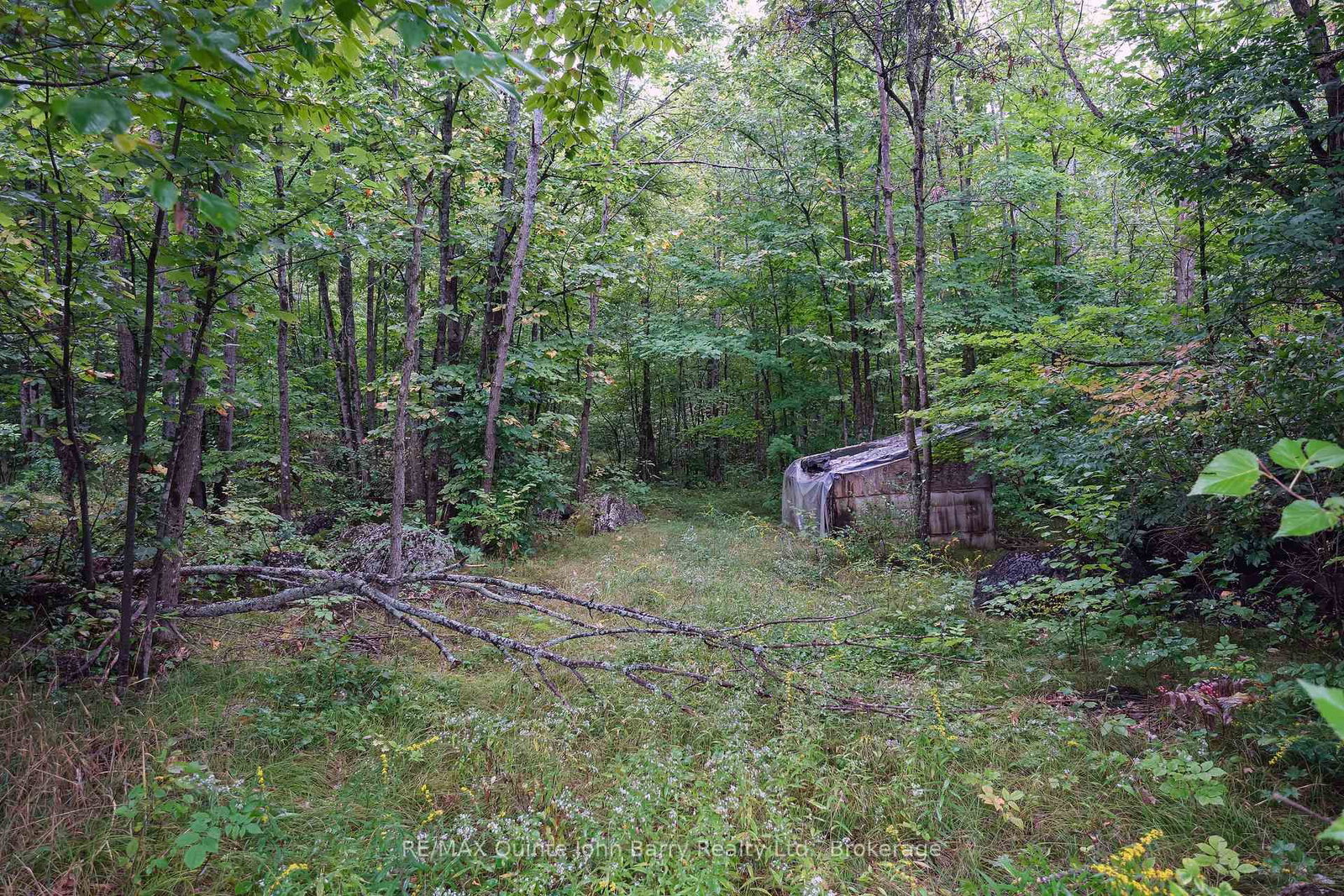 81 Rockhaven Road • Limoges, ON photo 33