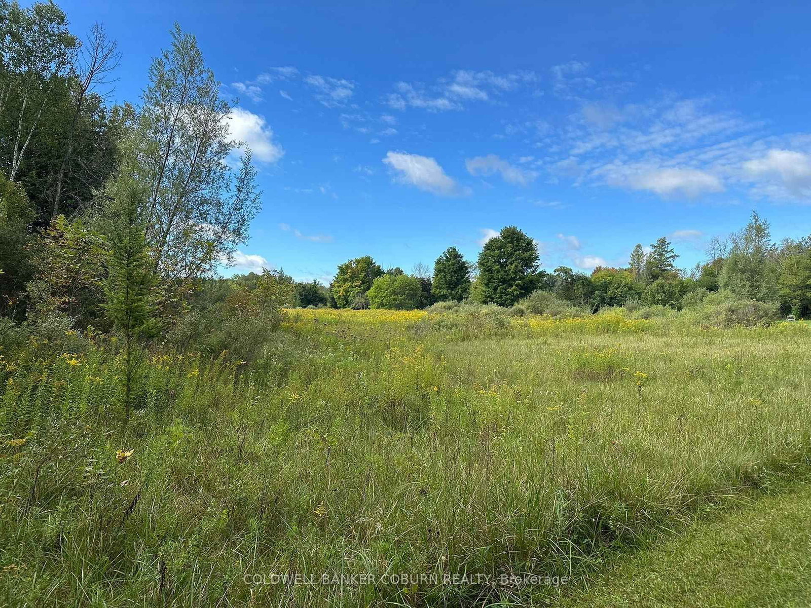 1904 Pittston Road • Edwardsburgh/Cardinal, ON photo 11