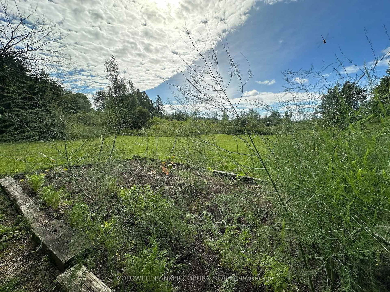 1904 Pittston Road • Edwardsburgh/Cardinal, ON photo 12