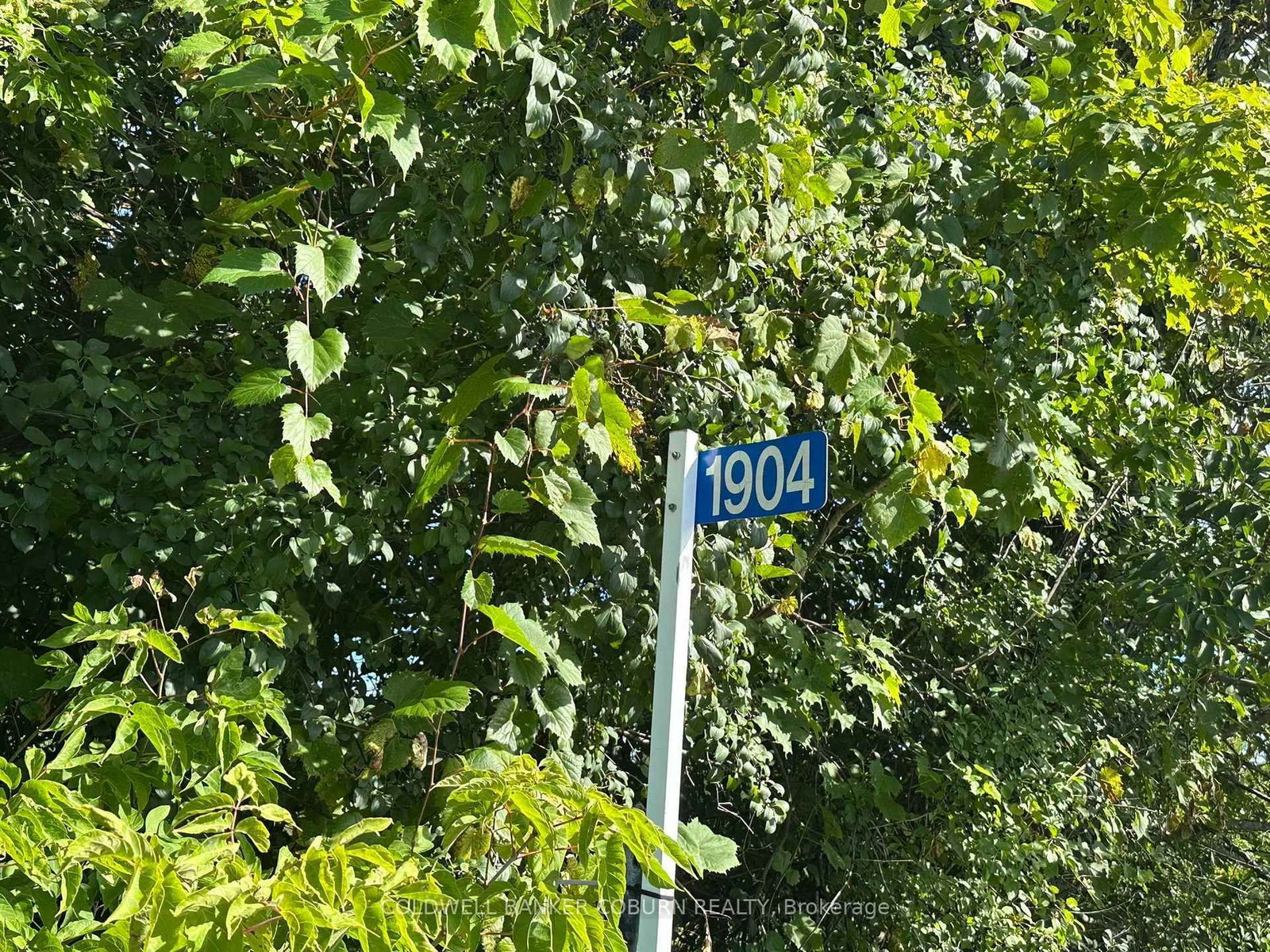 1904 Pittston Road • Edwardsburgh/Cardinal, ON photo 18