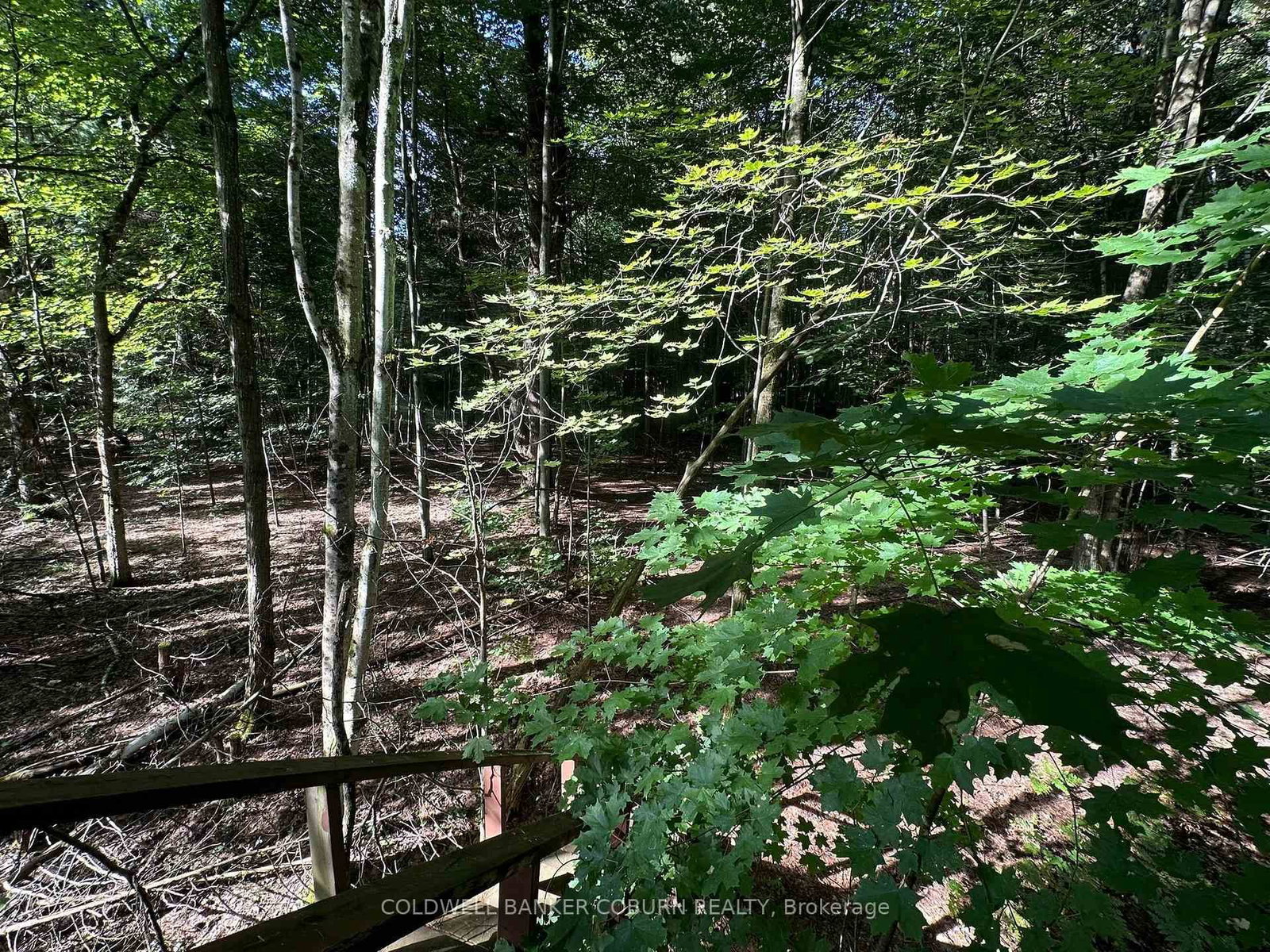 1904 Pittston Road • Edwardsburgh/Cardinal, ON photo 8