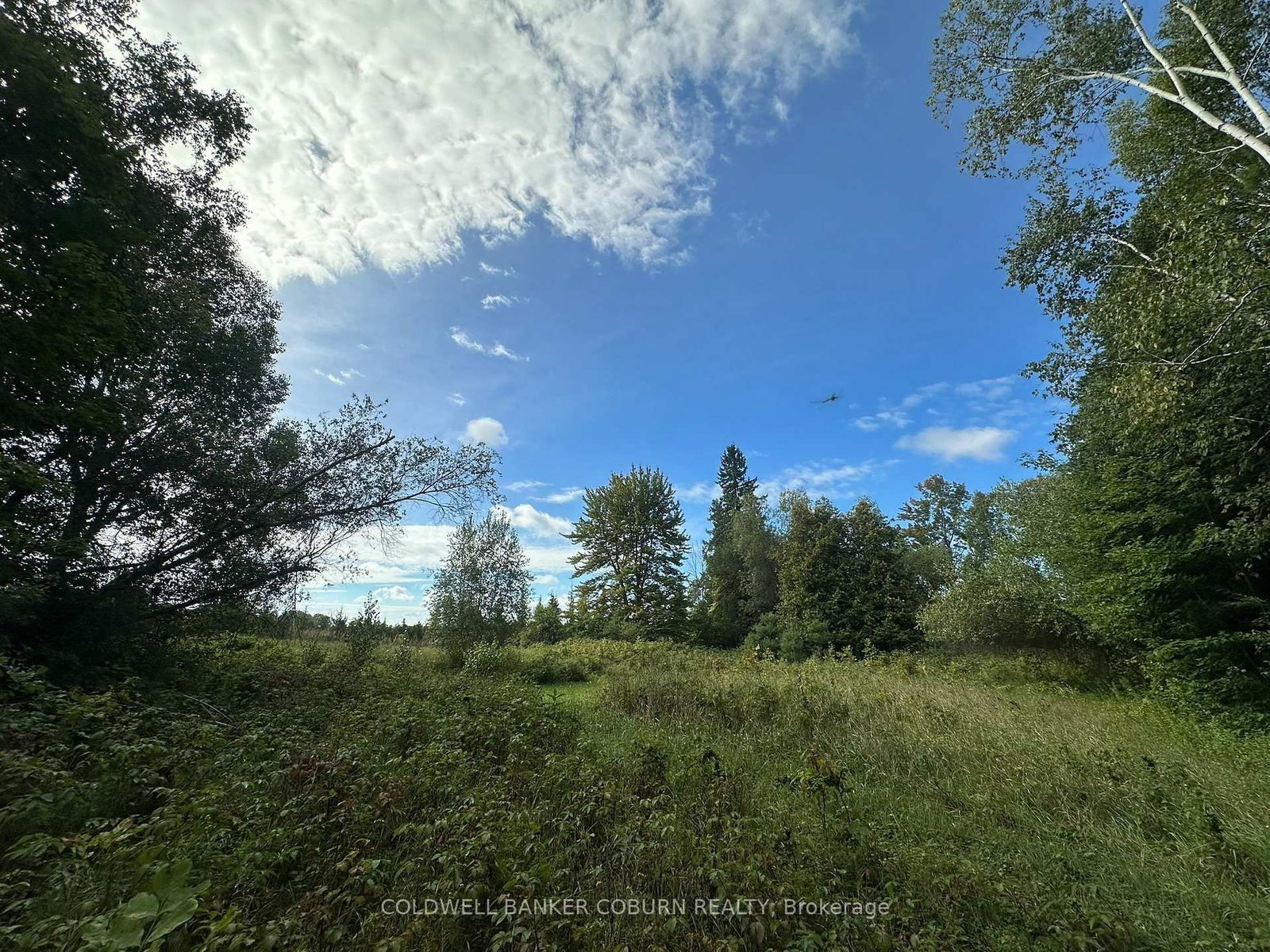1904 Pittston Road • Edwardsburgh/Cardinal, ON photo 9