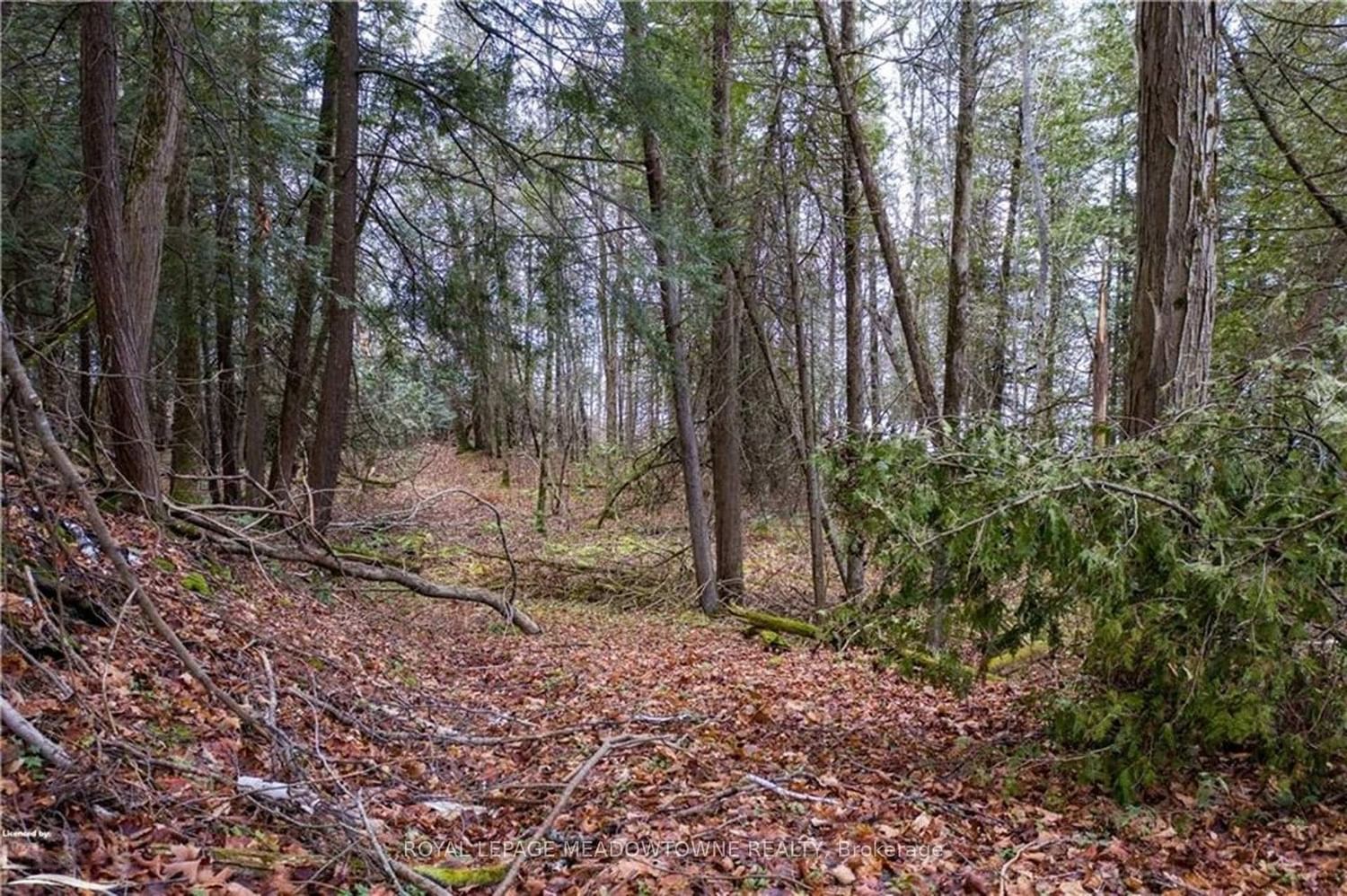 Lot 12 Eagle Ridge Drive • Meaford, ON photo 5