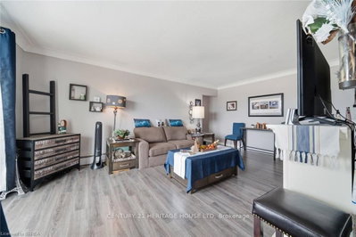 87 St George Street • #508 • Brantford, ON photo 6