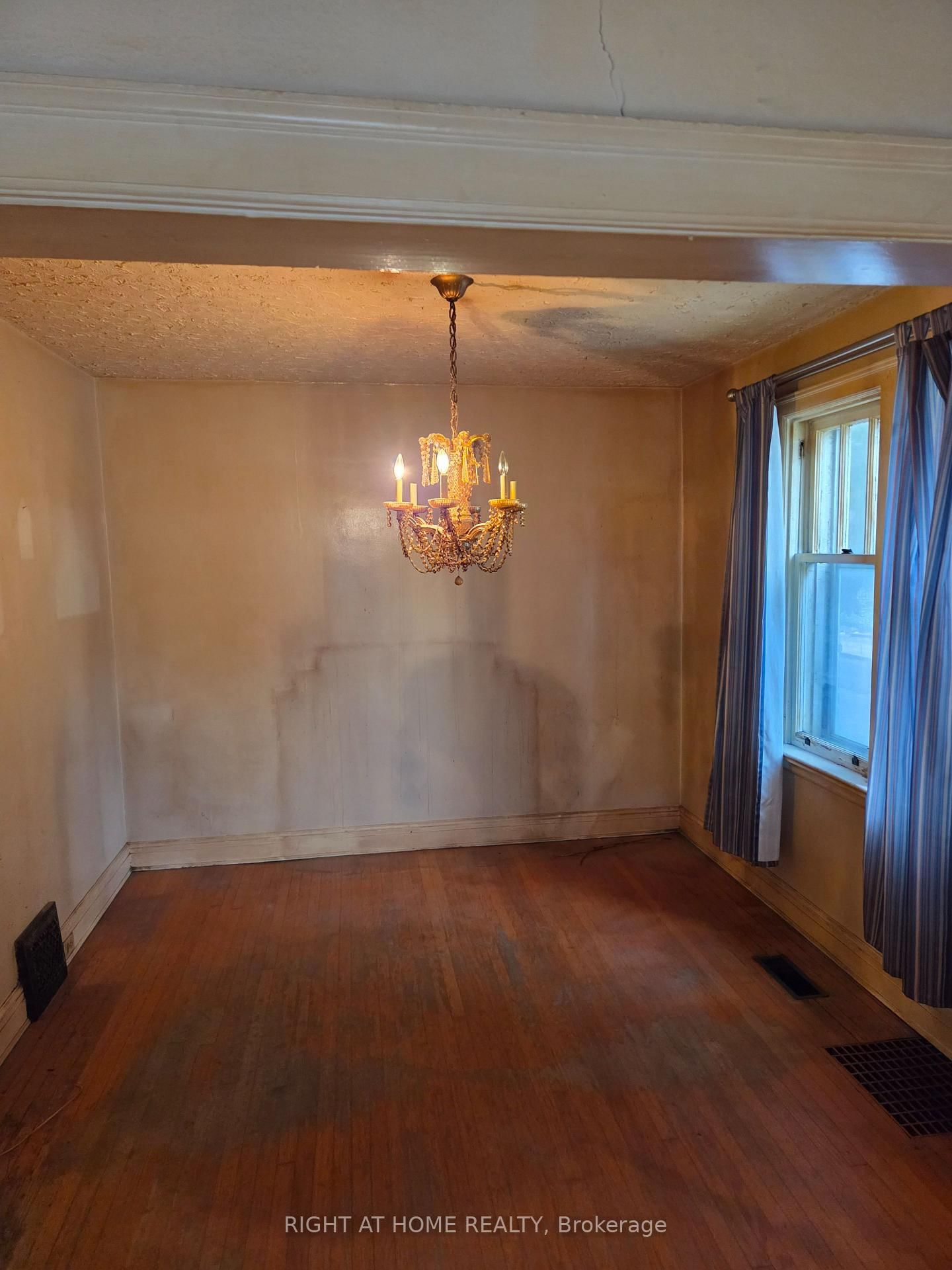 88 Lees Avenue • Ottawa, ON photo 4