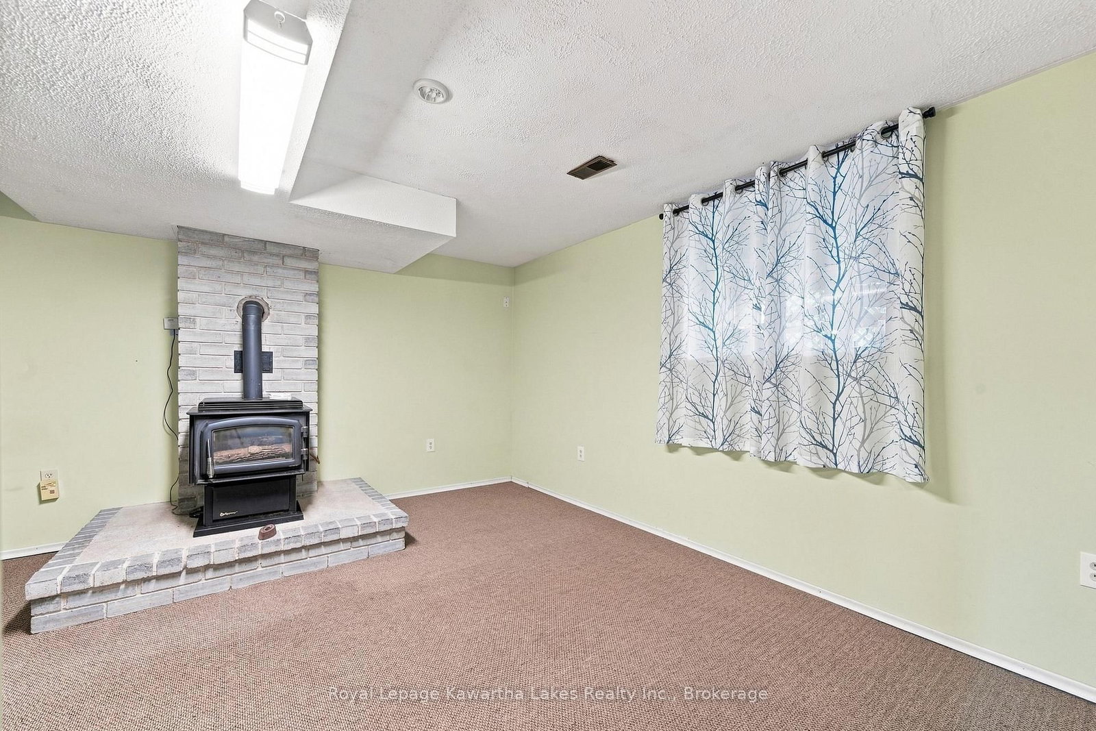 9 Richmond Street W • Kawartha Lakes, ON photo 19