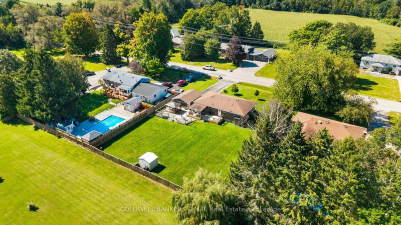 453 Brimley Road S