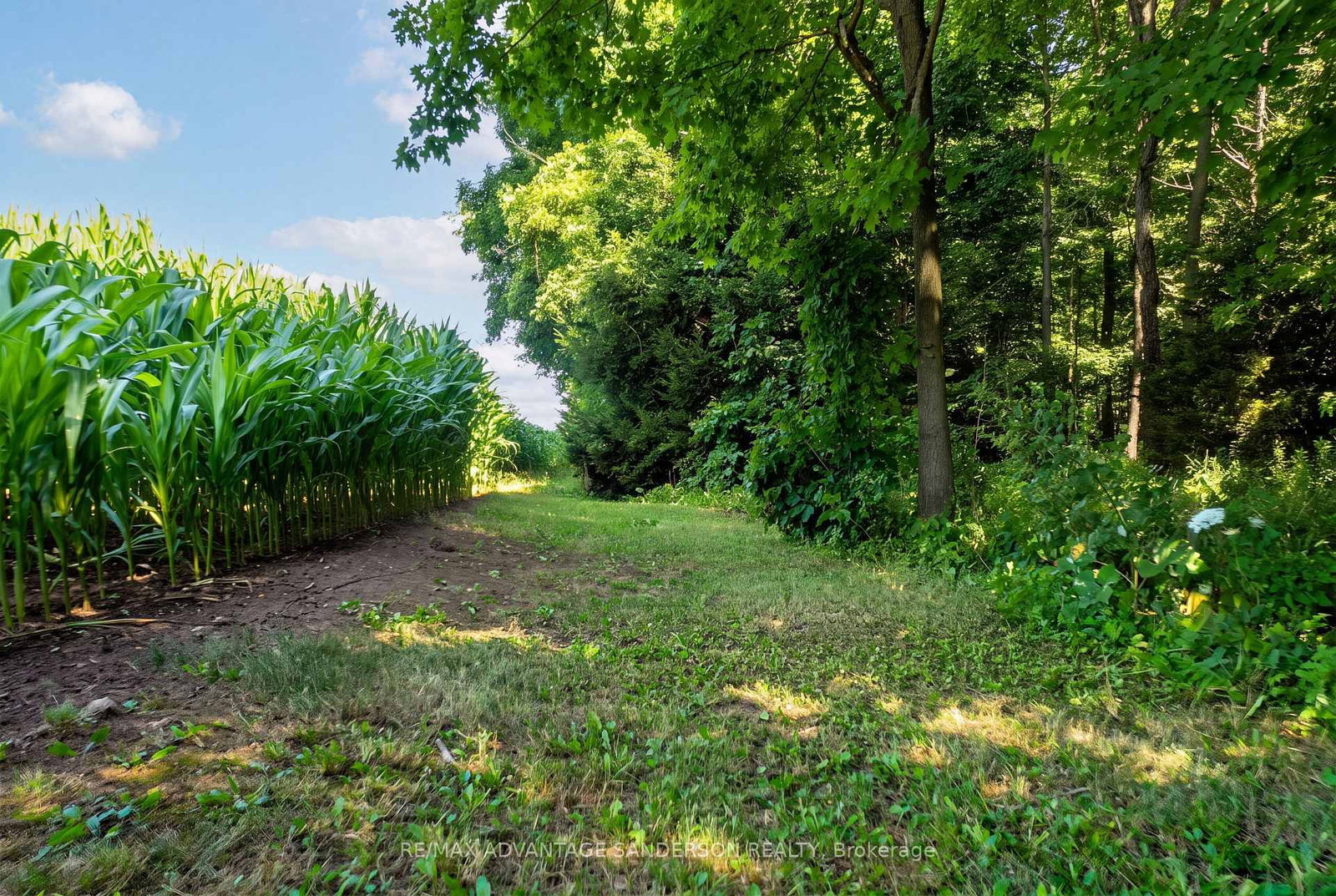14677 Ten Mile Road • Middlesex Centre, ON photo 18