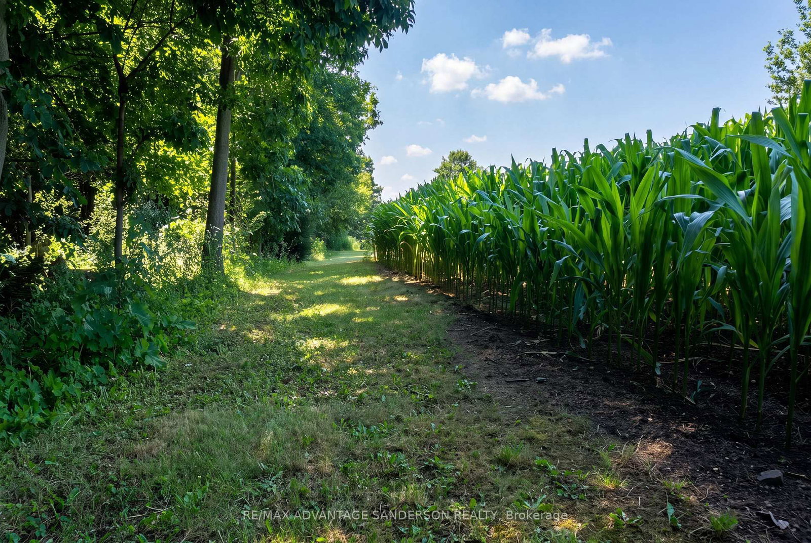 14677 Ten Mile Road • Middlesex Centre, ON photo 19
