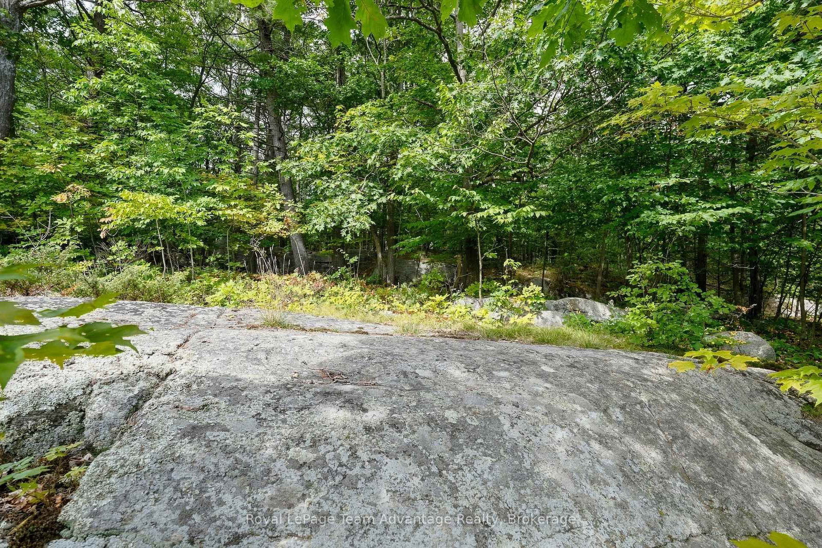 65 Isabella Street • Parry Sound, ON photo 30