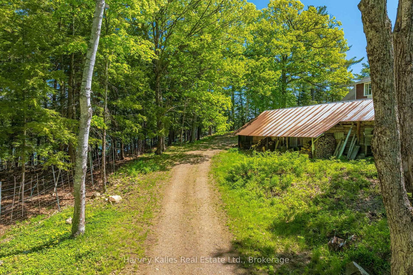 1353 Port Cunnington Road • Lake of Bays, ON photo 21